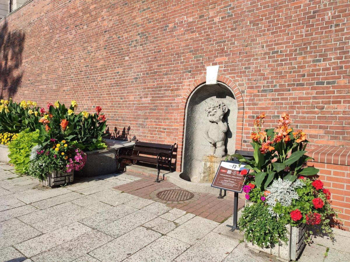 Apartament"Nad Niwka 6" Z Zamykanym Bezplatnym Parkingiem Bielsko-Biała Extérieur photo